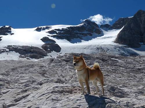 CBA赛季赛程合理 球员状态保持良好，新赛季cba联赛四个阶段