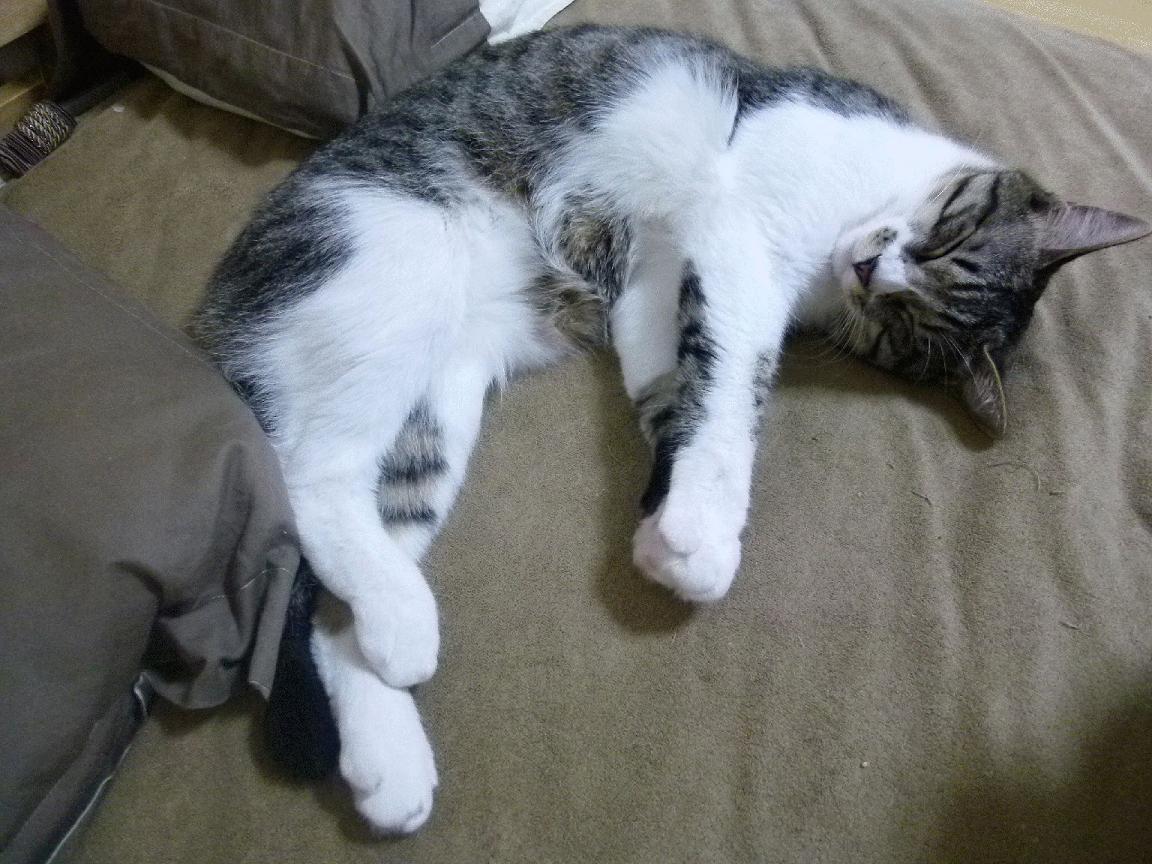 节奏改变是否能有效缓解得分荒局面，改变节奏强弱的方法