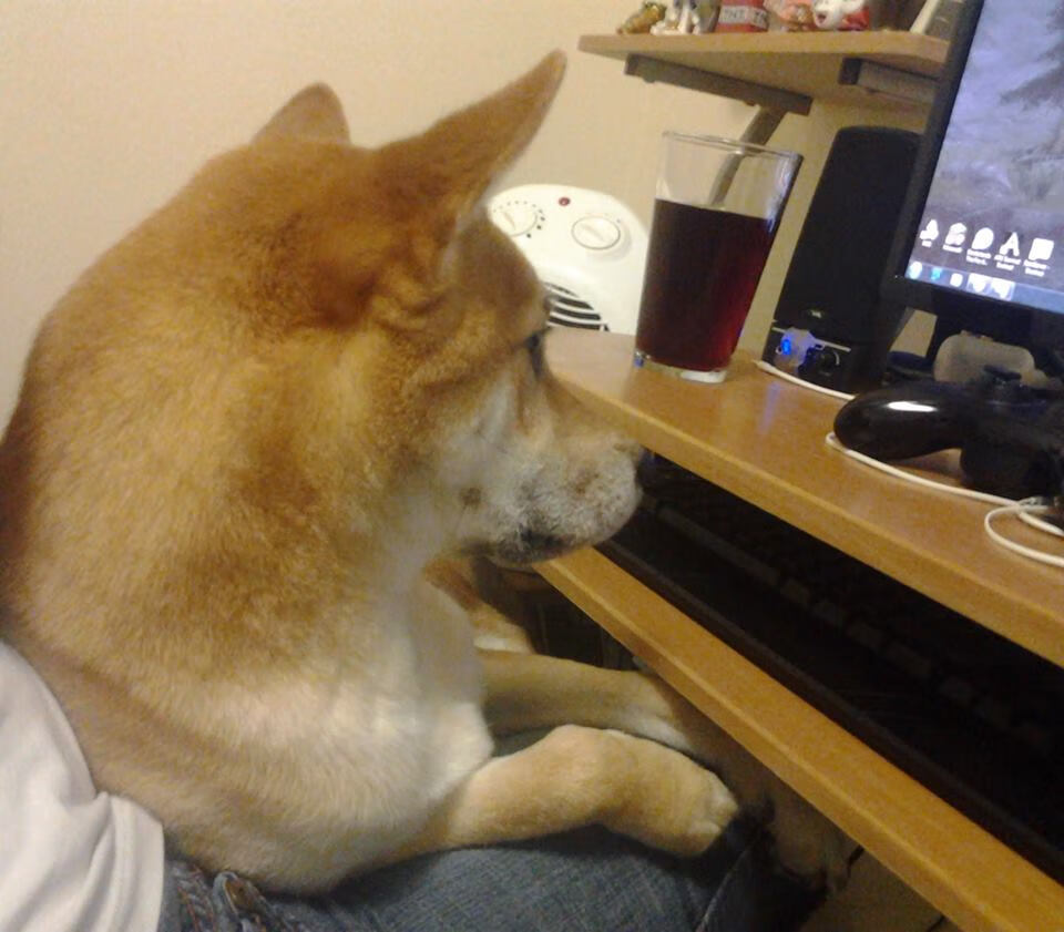 美选手更重起跳节奏，中方注重转身连接