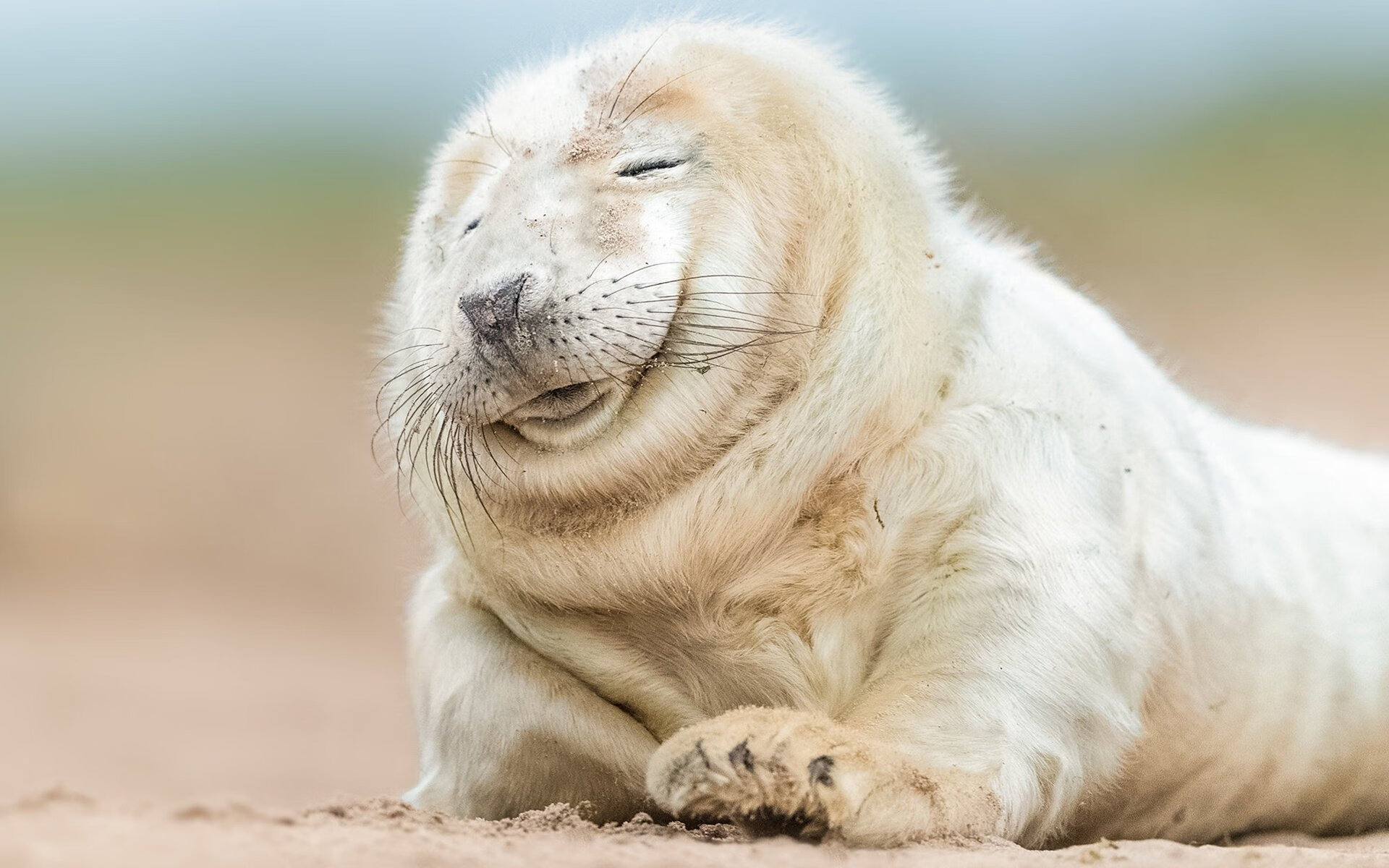 蝶泳划水节奏与疲劳对抗分析出炉,蝶泳划水动作