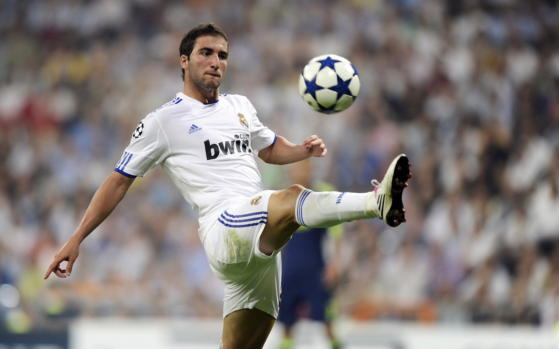 19岁荷兰新带刀后卫荷甲横空出世5大欧洲豪门疯抢，荷兰足球后卫