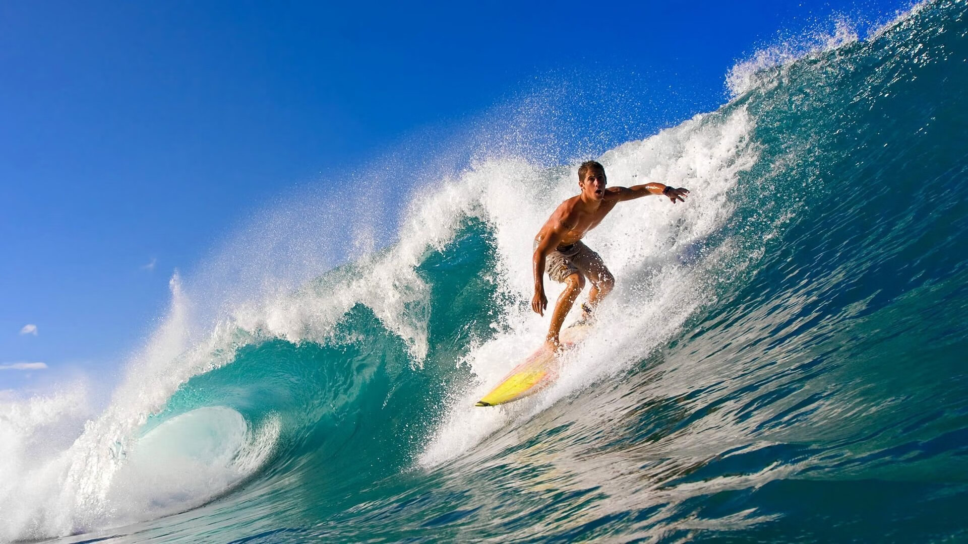 世界羽毛球巡回赛多位种子选手顺利晋级，世界羽毛球巡回赛在哪里